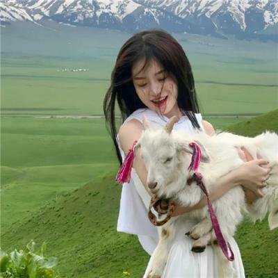 狗的生涯